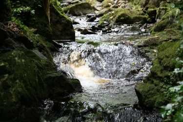 Glen Grant Garden - Wasserfall
