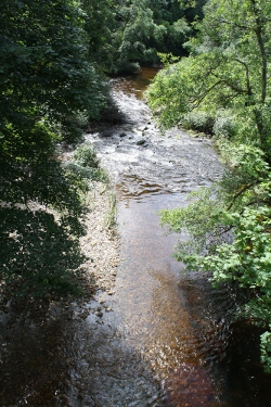 River Fiddich