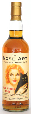 Irish 1988 Nose Art